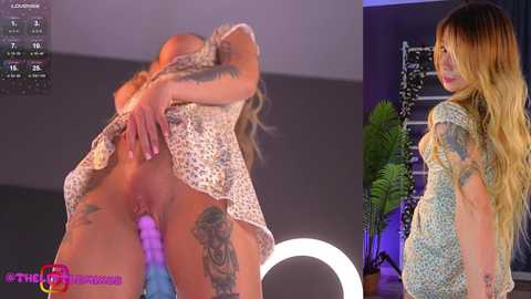 littlemix_ @ stripchat on 20241107