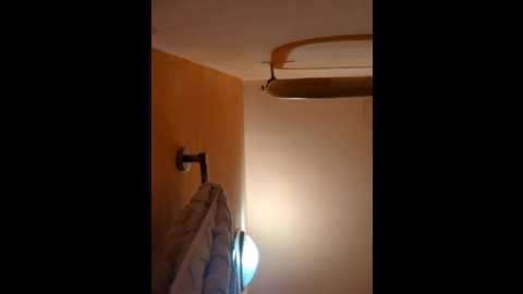 morphine_666 @ stripchat on 20241107