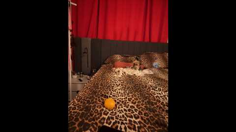 photomodellll @ stripchat on 20241107