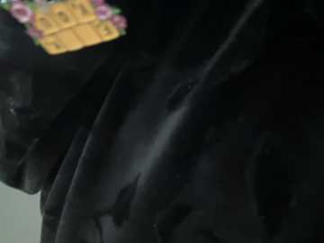 sam_sara @ stripchat on 20241107