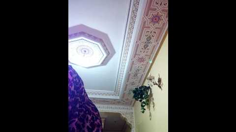 sosoarabe123 @ stripchat on 20241107