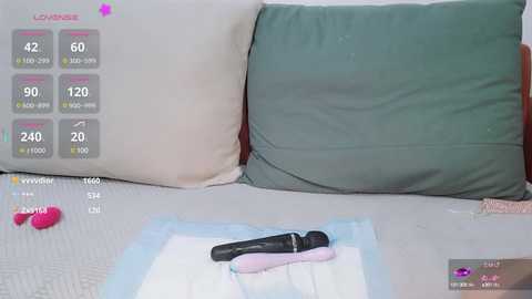 youth3_ @ stripchat on 20241107