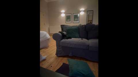 alirawrz @ stripchat on 20241108