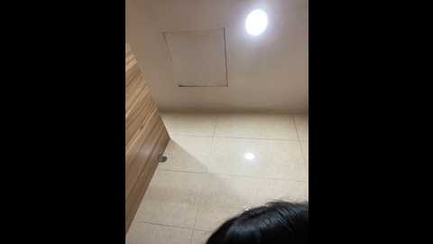 asia_lynn @ stripchat on 20241108