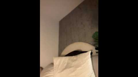 clarachanelricek @ stripchat on 20241108