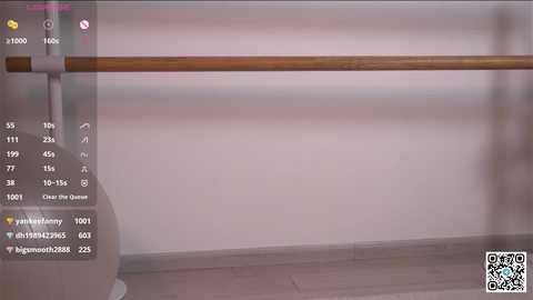 elation_evy @ stripchat on 20241108