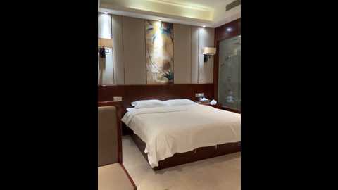 feifei_babe @ stripchat on 20241108