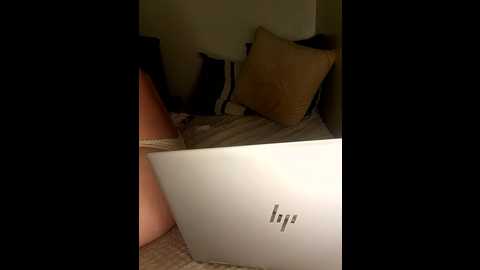 lina_lolo @ stripchat on 20241108