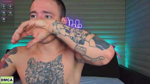 meowluv66 @ stripchat on 20241108