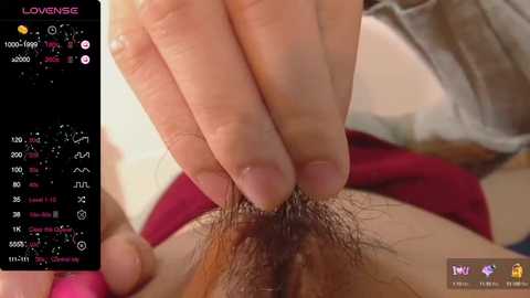 sorairosky @ stripchat on 20241108