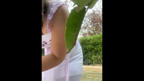 xixi_gala @ stripchat on 20241108