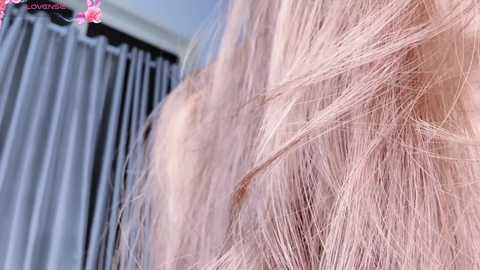 i_am_boo @ stripchat on 20241109