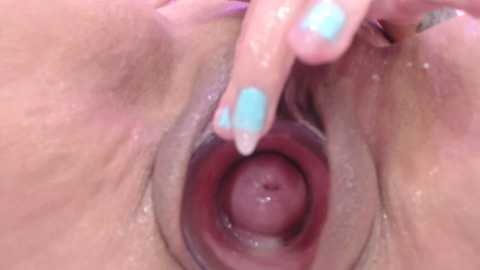 jakelinekitty @ stripchat on 20241109