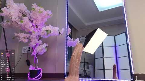 marry_cordy @ stripchat on 20241109