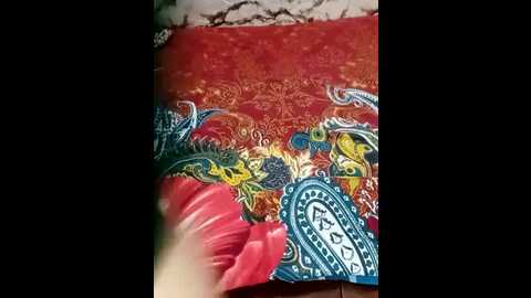 nasreenkhan03 @ stripchat on 20241109