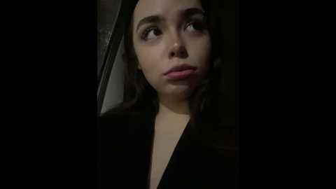 pantyless @ stripchat on 20241109