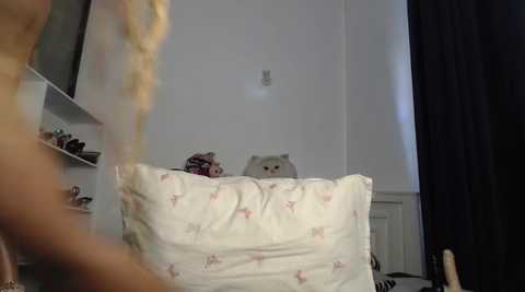 peeky_pinky @ stripchat on 20241109