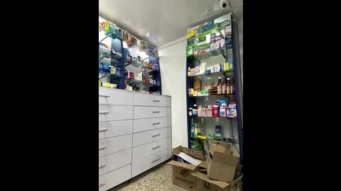 roouse @ stripchat on 20241109