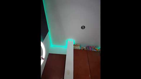 shara_dreams @ stripchat on 20241109