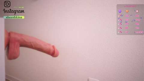 somejgirl @ stripchat on 20241109