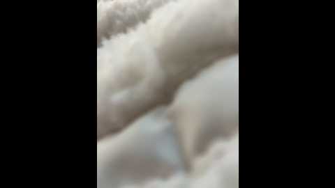 _angelari_ @ stripchat on 20241110