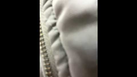 baby_brownie @ stripchat on 20241110