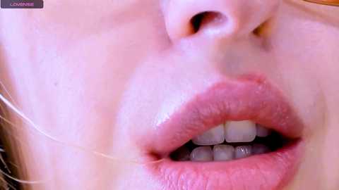 jennysi @ stripchat on 20241110