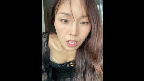 ok_lala @ stripchat on 20241110