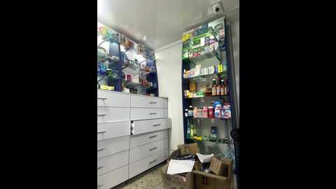 roouse @ stripchat on 20241110