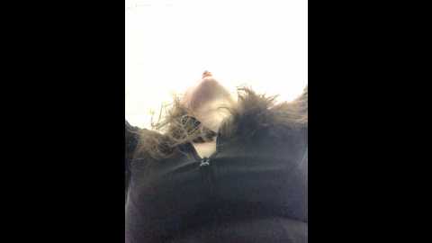 unamiumiu @ stripchat on 20241110