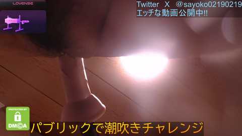 __mimi__love__ @ stripchat on 20241111