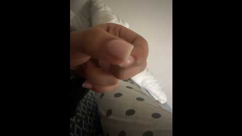 inesxv