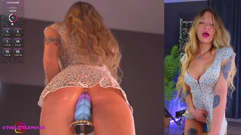 littlemix_ @ stripchat on 20241111