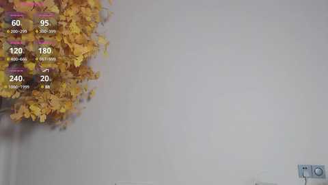 mili_0 @ stripchat on 20241111