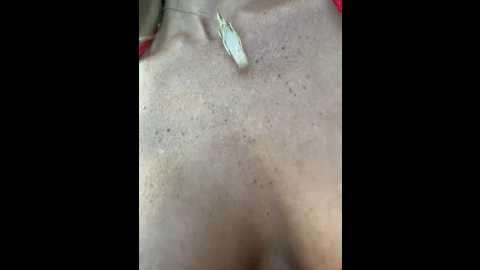 tiftonexplores @ stripchat on 20241111