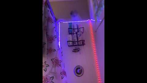 annablisss @ stripchat on 20241112