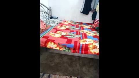 apkisona45 @ stripchat on 20241112