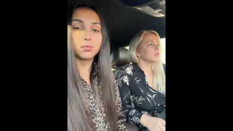 keep_us_wild @ stripchat on 20241112