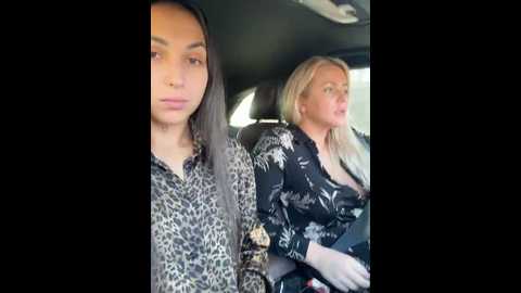 keep_us_wild @ stripchat on 20241112