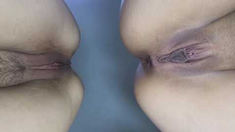 miyamoto_marina @ stripchat on 20241112