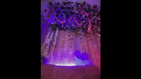 seraphine23 @ stripchat on 20241112