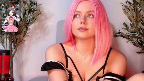 akirarey @ stripchat on 20241113