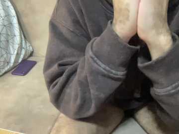 alaa_sondos @ stripchat on 20241113