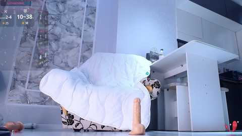 choi_ara @ stripchat on 20241113