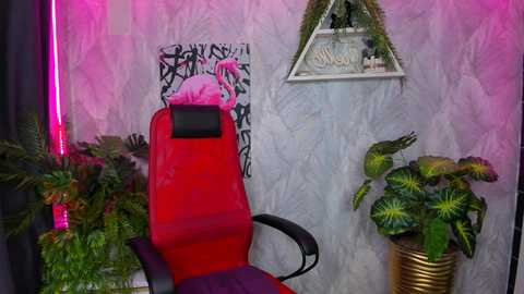 evasun_ @ stripchat on 20241113