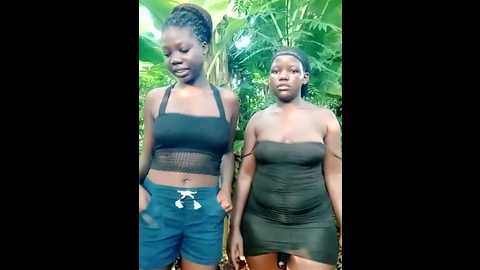 holygrail001 @ stripchat on 20241113