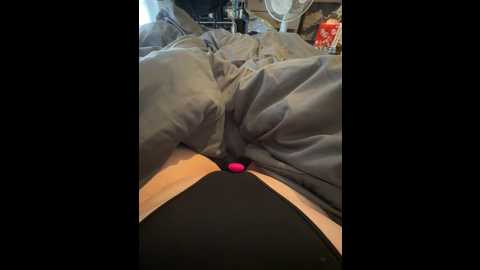 honeyyy24 @ stripchat on 20241113