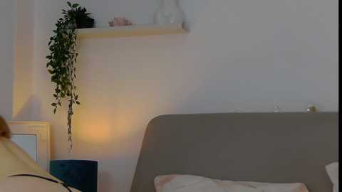 jo_lawrence @ stripchat on 20241113