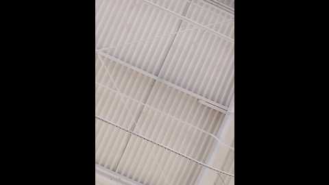 morphine_666 @ stripchat on 20241113