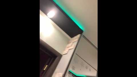 pawsitive_panther @ stripchat on 20241113